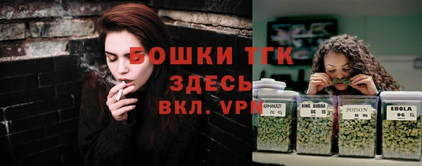 дживик Пестово
