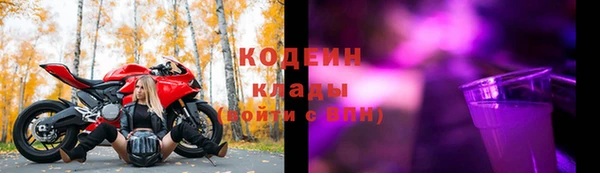дживик Пестово