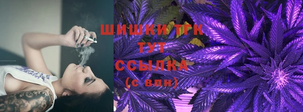 дживик Пестово